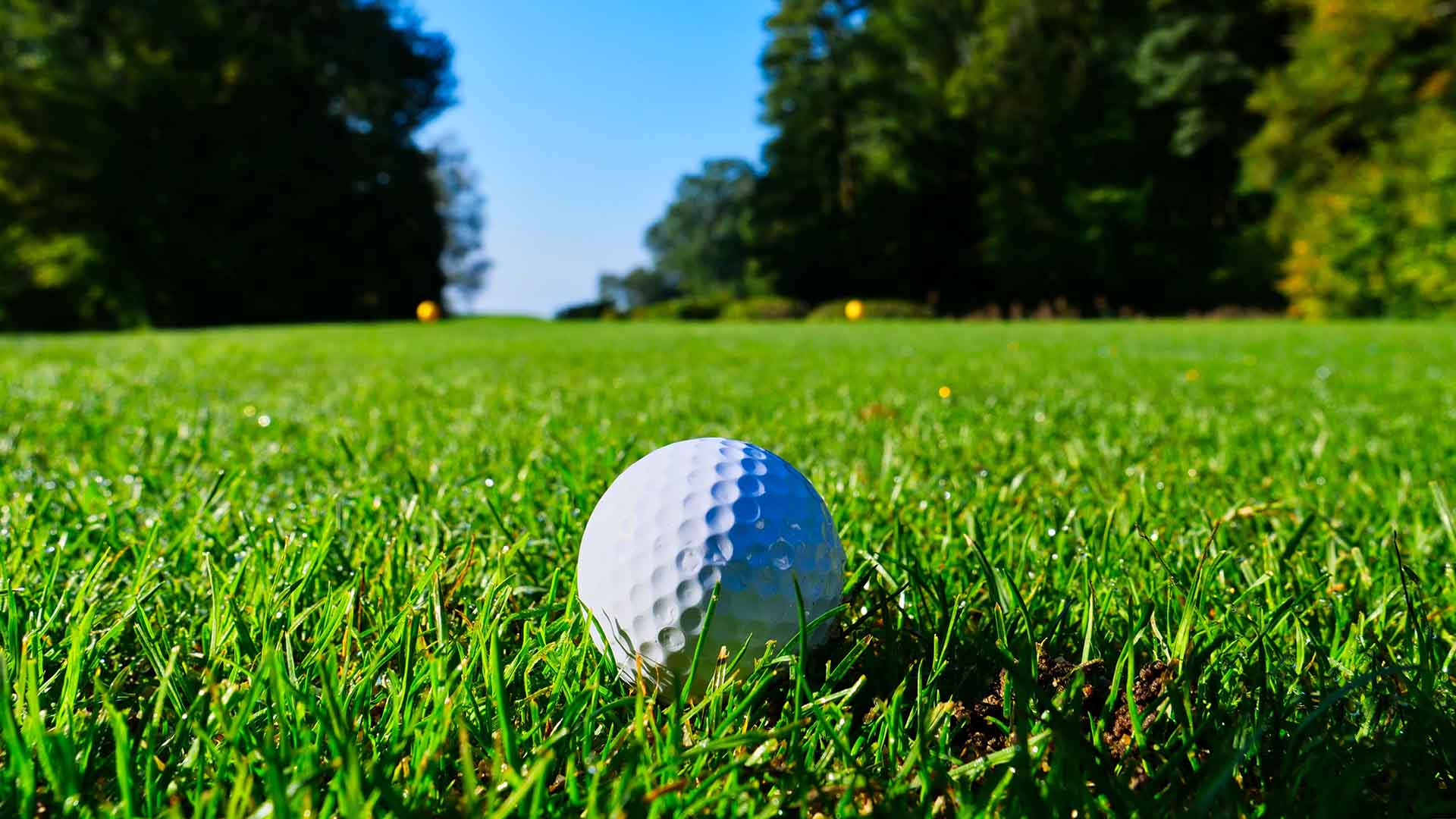 Centre de loisir avec golf à Meylan